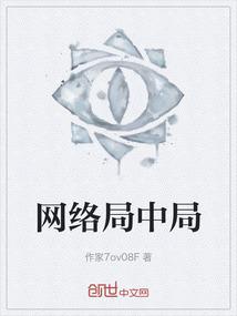 网络局中局
