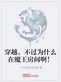 穿越，不过为什么在魔王房间啊！