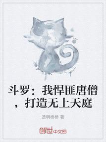 斗罗：我悍匪唐僧，打造无上天庭