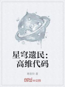 星穹遗民：高维代码