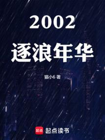 2002逐浪年华