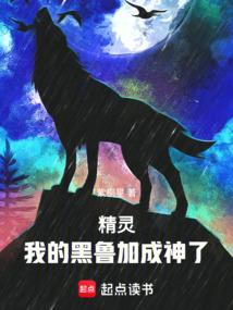 精灵，我的黑鲁加成神了