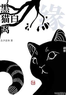 黑猫白离